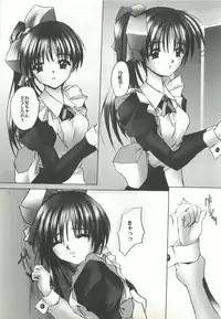 [FINAL EVOLUTION S-RS (ZAN, Chosuke)] VISUAL DESIRE 2 (With You)