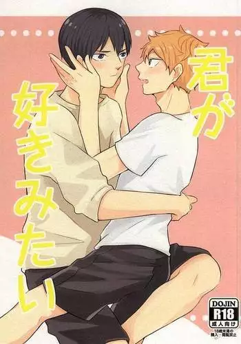 君が好きみたい