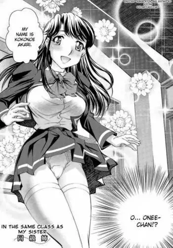 Anetoris - Chapter 6