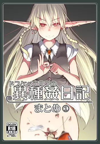 Dosukebe Elf no Ishukan Nikki Summary + Bonus Pixiv Sample