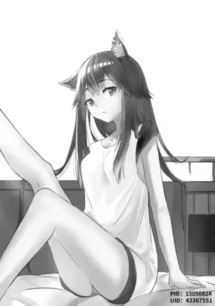Arknights本子001