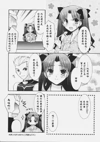 (C70) [C.A.T (Morisaki Kurumi)] RED (Fate/stay night) [Chinese] [wl00314824個人漢化]