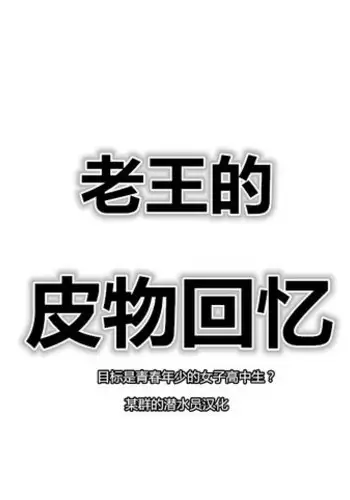 Skin recollection（潜水员汉化）