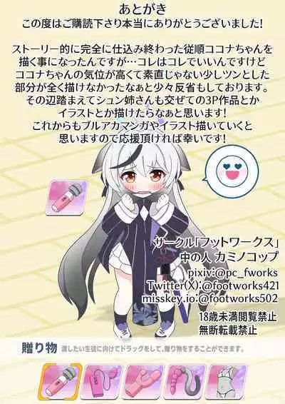 Otona no Omocha wa Lady no Tashinami | 大人的玩具乃淑女的小爱好