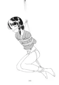 (C55) [Comic Kingdom (Oyama Kumotsuru)] [Lain] Kan'nou Monogatari (Serial Experiments Lain)