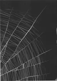 (C78) [Rapid Rabbit (Tomotsuka Haruomi)] Byoujo no Sho (Touhou Project) [English] [CGRascal]