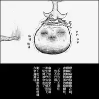 大姊姊与油库里（半生不熟汉化组）