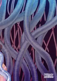 (COMIC1☆13) [Mushoku Santaro] Shokujikai