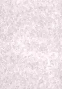 (C71) [Kimarinet (kimarin)] Zero No Kimochi - Feelings of Zero - (Zero no Tsukaima)