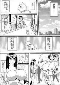 [Nekorondoru (Tokei)] Kaineko ga Aruhi Bijo ni Nattara