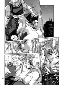(SC34) [Studio Katsudon (Manabe Jouji)] Kemonotachi no Bansan (Mahou Shoujo Lyrical Nanoha)