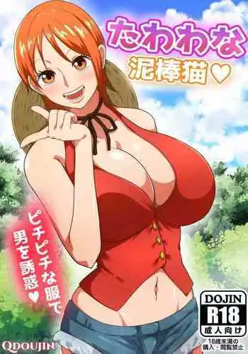 [Q Doujin] Tawawa na Dorobouneko (One Piece)