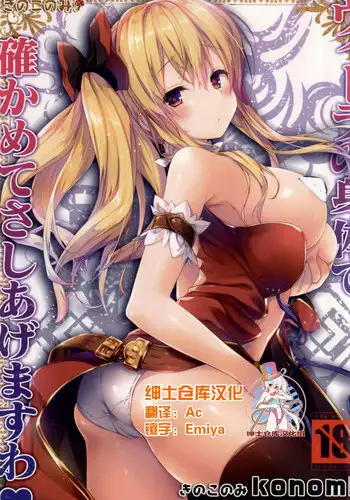 (C88) [KINOKONOMI (konomi)] Vila no Karada de Tashikamete sashiagemasuwa (Granblue Fantasy) [Chinese] [绅士仓库汉化]