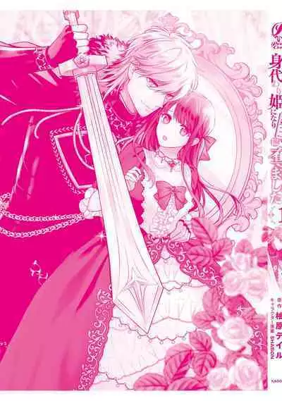 isekai de migawarihime ninari haou ni ubawaremashita ​| 在异世界成为了替身公主被霸王掳走了 1-12 end