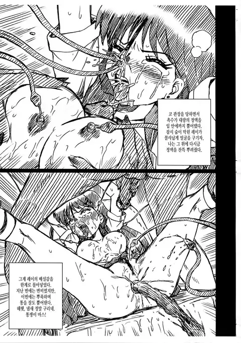 SAILORMOON FILE Hino Rei Gazoushuu