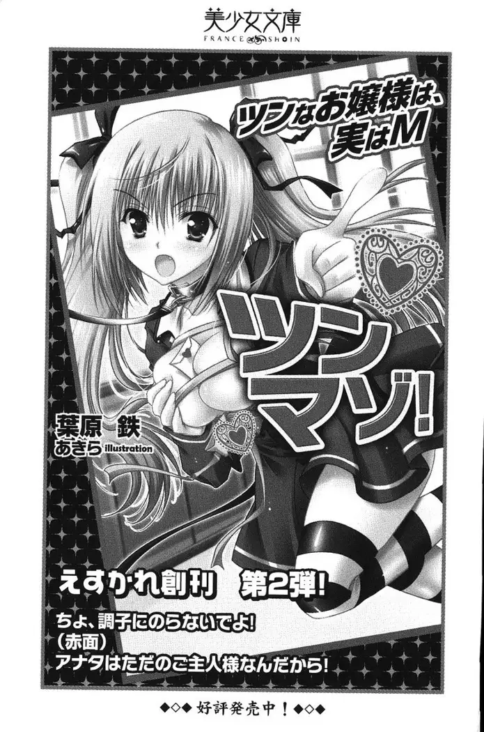 お嬢さま×戦車