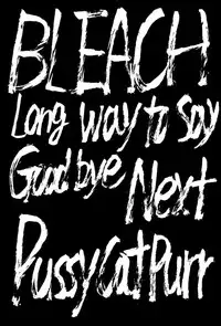 (C70) [Circle Taihei-Tengoku (Towai Raito)] Zone 33 (Bleach)