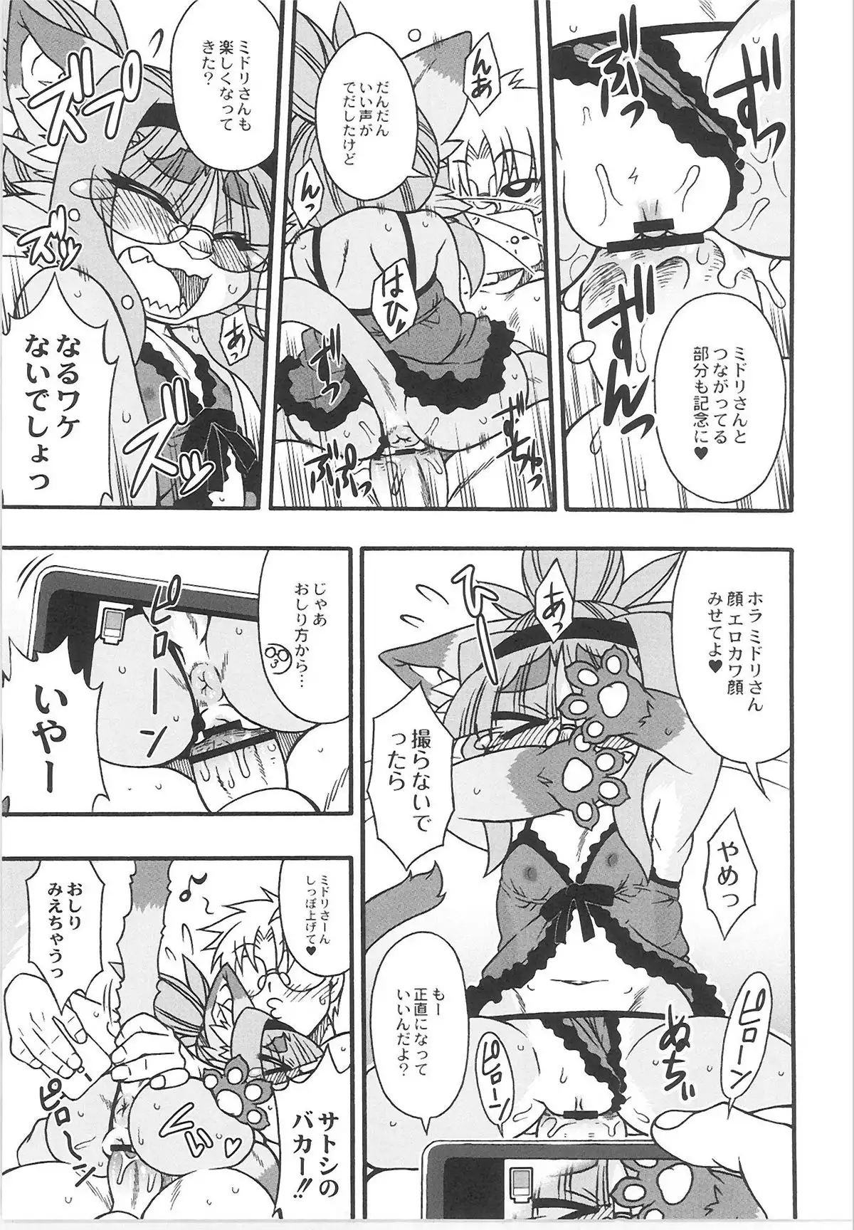 QooPA2015-06 No,11
