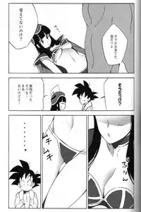 [S-FLAKE (Yukimitsu)] Shinmai Teishu to Koinyobo Z (Dragonball Z)