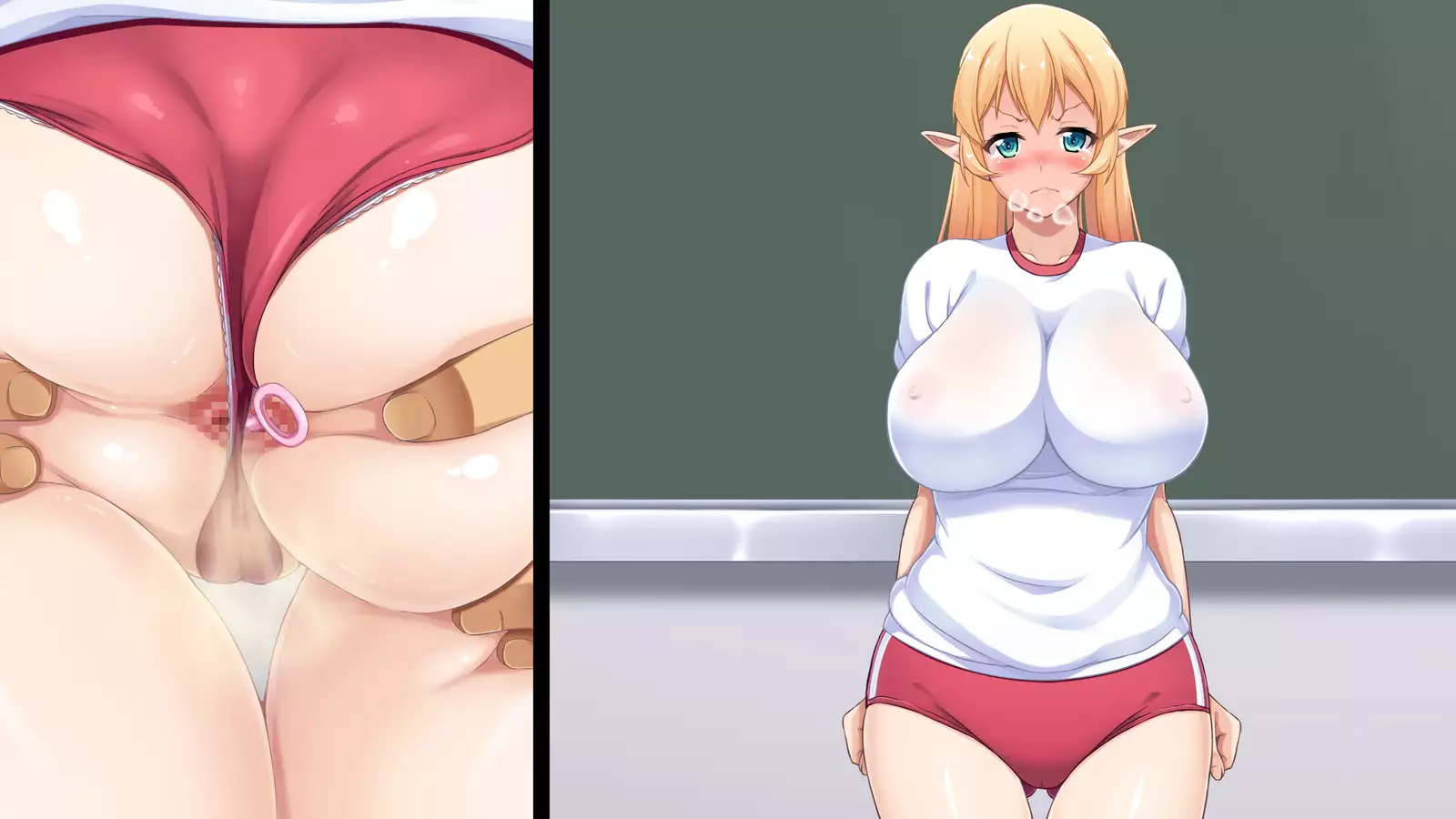 Junshin na Elf no Ryuugakusei ni Anal Choukyo shiyo！