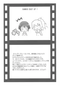 (C75) [Rikudou Juku (Kouki Kuu)] Nyan Mori II (Various)