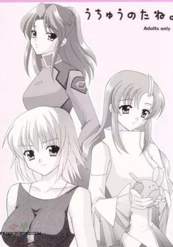 (CR33) [Teruo Haruo (Kanekiyo Miwa)] Uchu no Tane. (Gundam SEED) [English]