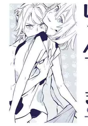 現パロにゃんちょぎ