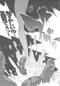 (C79) [Combat Mon-Mon (Hiratsura Masaru)] Ayanami (Neon Genesis Evangelion)