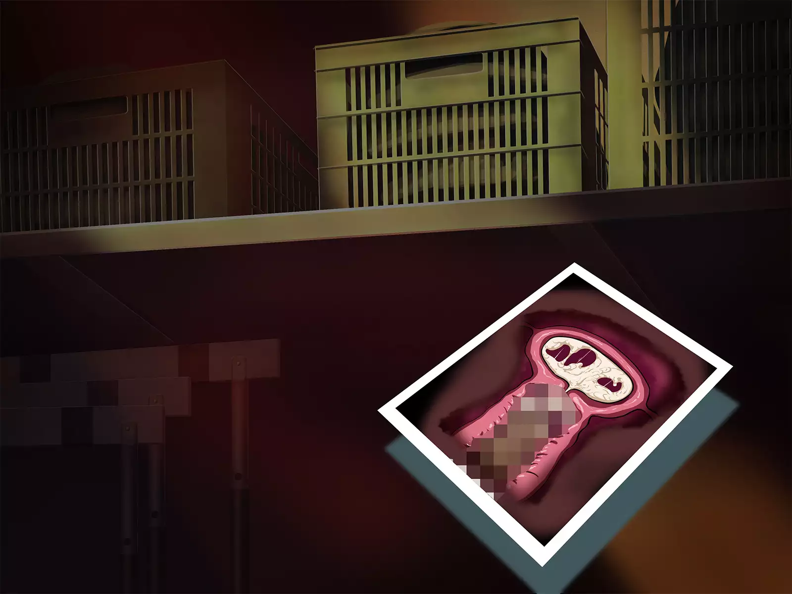 Seikatsu Shidouhou Rikujou Shoujo no Pakopako Shidou