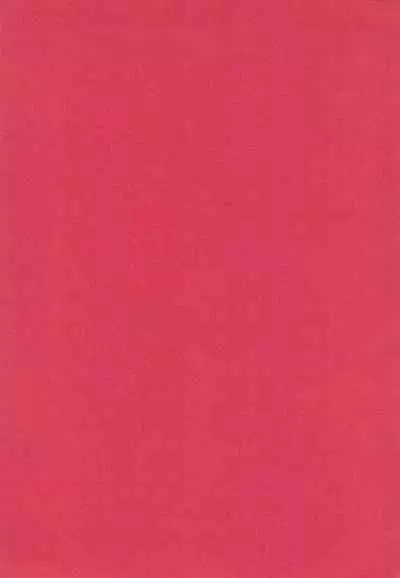 (C57) [CHARM BOOKS (SOFTCHARM)] SWEEP-01 STATE to STATE (Various)