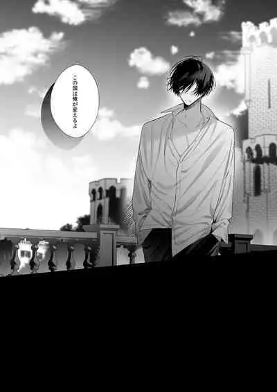 Reitetsu Ouji wa Dekiai no Soshitsu ga Aru kamo shirenai 3