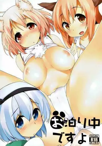 お泊まり中ですよ