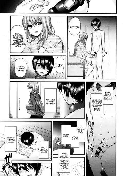 Domestic Dog | Домашняя Собаука