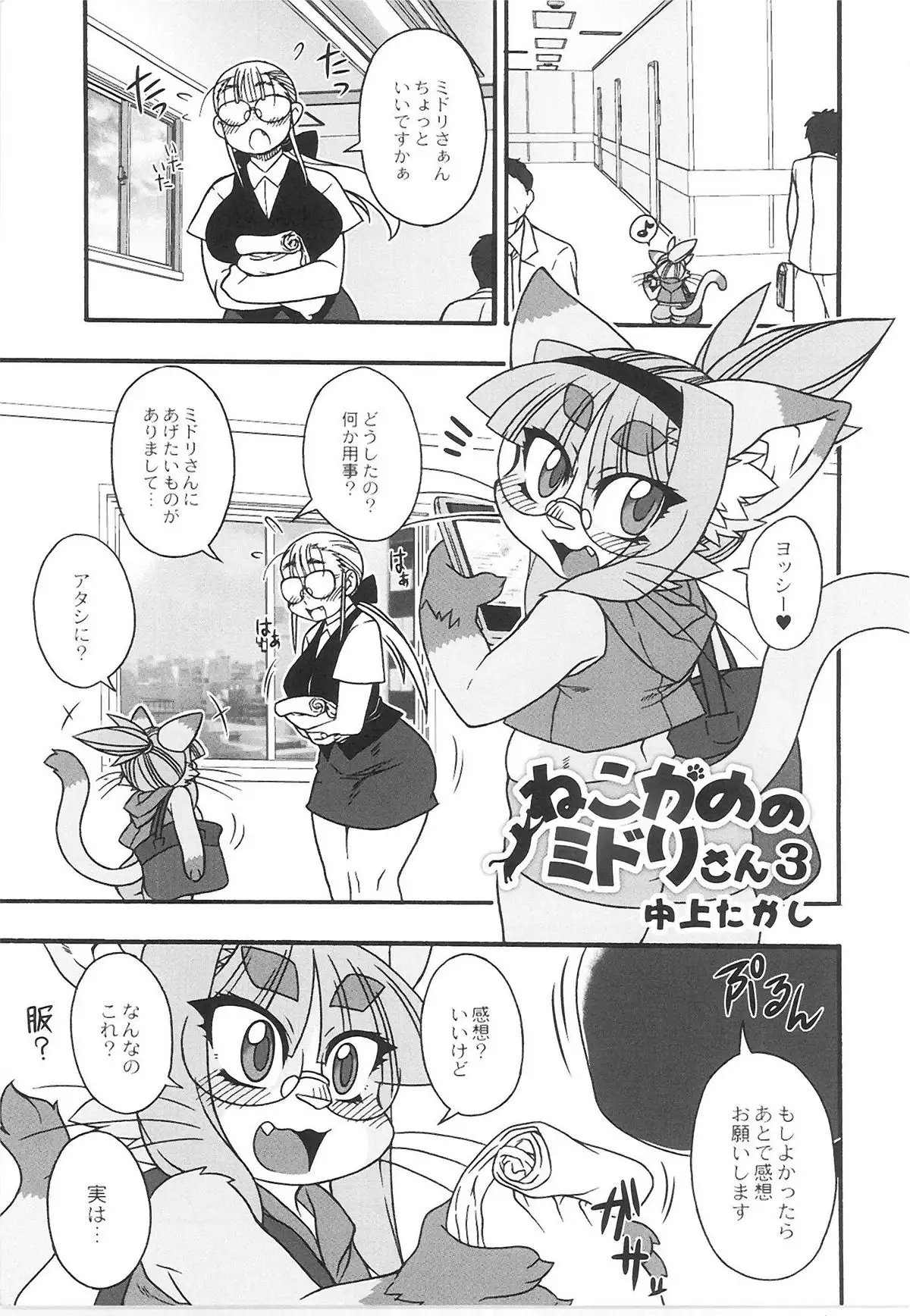 QooPA2015-06 No,11