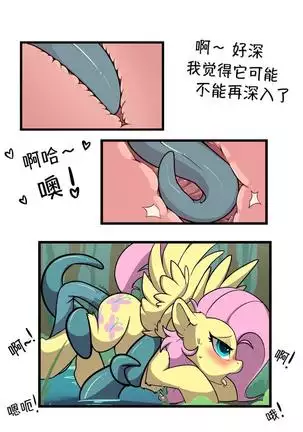 【浮力驹翻译组】小潭邂逅