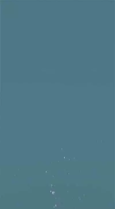 [週五] [洋世 & 經文旗] 衝突 1-104官方中文（連載中）