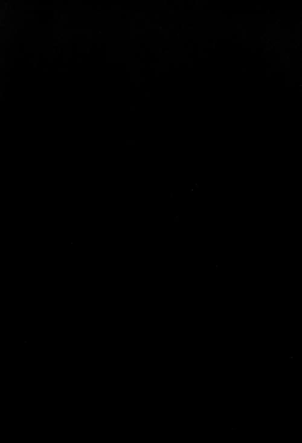 Karin to ShiroNatsume