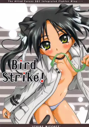 (C77) [Terra Drive (Teira)] Bird Strike! (Strike Witches)