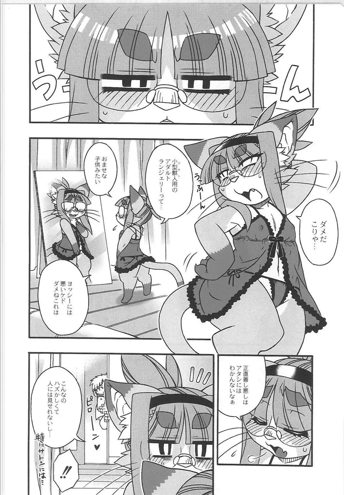 QooPA2015-06 No,11