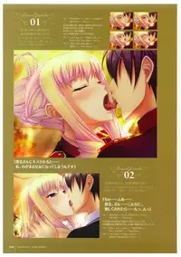 Walkure Romanze More & More Visual Fan Book