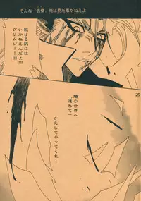 (SUPER17) [Funny Devil (Okada Reimi)] Shinjitsu no Kakera (Bleach)