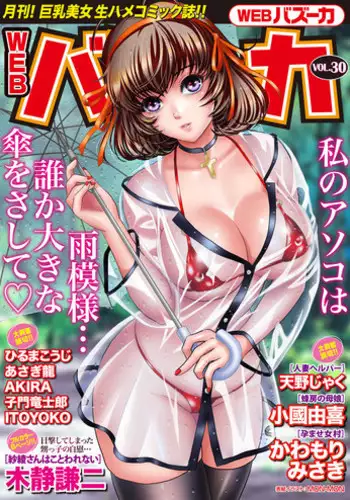 WEB Bazooka Vol. 30