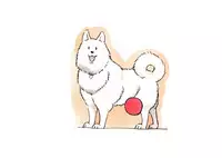 [pink-noise (Mizuiro Megane)] Doubutsu Noujou - Animal Farm | 動物農莊 [Chinese] [畜牧系學姊漢化組]