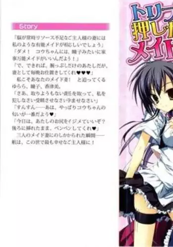 トリプル押しかけメイド妻