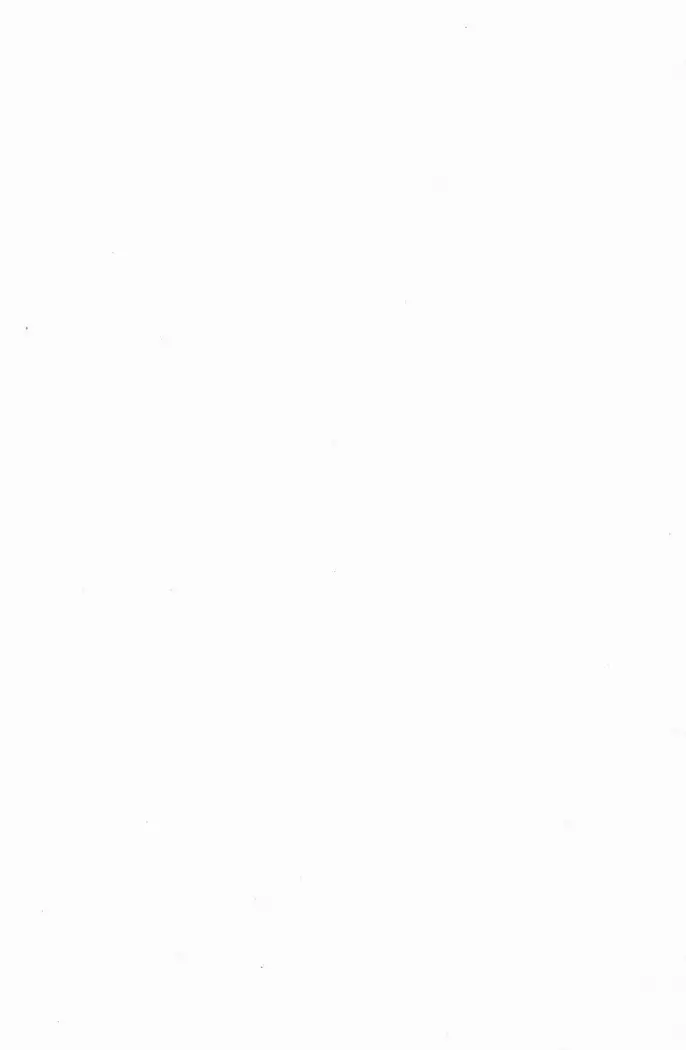 メイド喫茶　猫の隠れ家