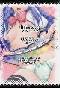 (C87) [CUNICULUS (Yositama)] Yumemigokochi no Uchouten (Touhou Project) [English] [desudesu]