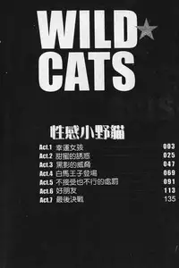 [Kobayashi Takumi] Wild Cats | 性感小野貓 [Chinese] [Incomplete]