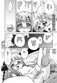 (SC34) [Kazeuma (Minami Star)] Milreaf no Anone (Summon Night 4) [Chinese] [脸肿汉化组]