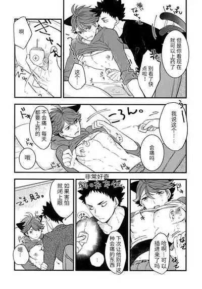我想成为小岩的猫3 I want to become Iwa-chan's Cat! 3