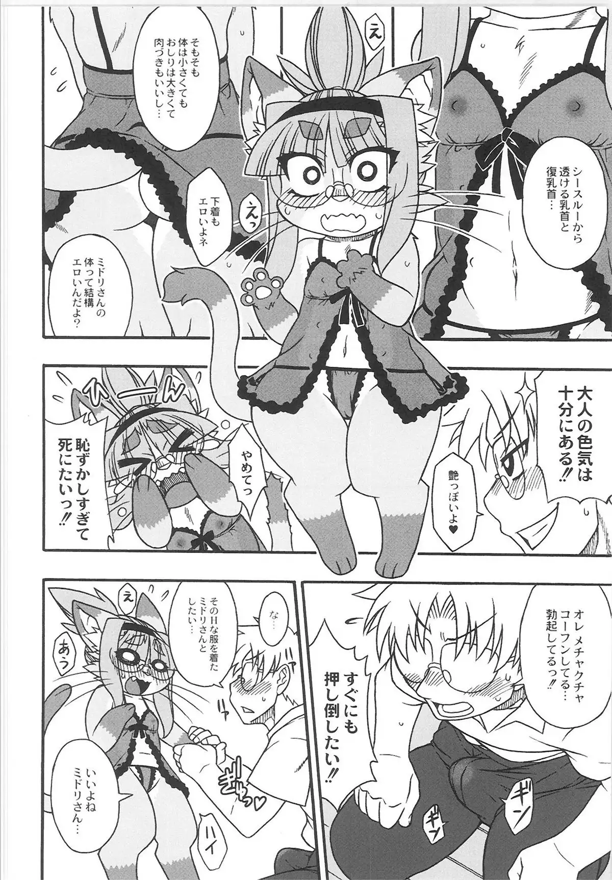 QooPA2015-06 No,11